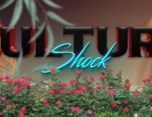 【欧美SLG/汉化/动态】文化重演：文化冲击(困惑) Culture Shock [Ch. 3 v0.2 SE] 【PC+安卓/8G】