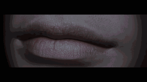 【欧美SLG/汉化/动态】血与帝国编年史（Sanguis et Imperium） V2.0a 精翻汉化版【/电影画质/1.4G】