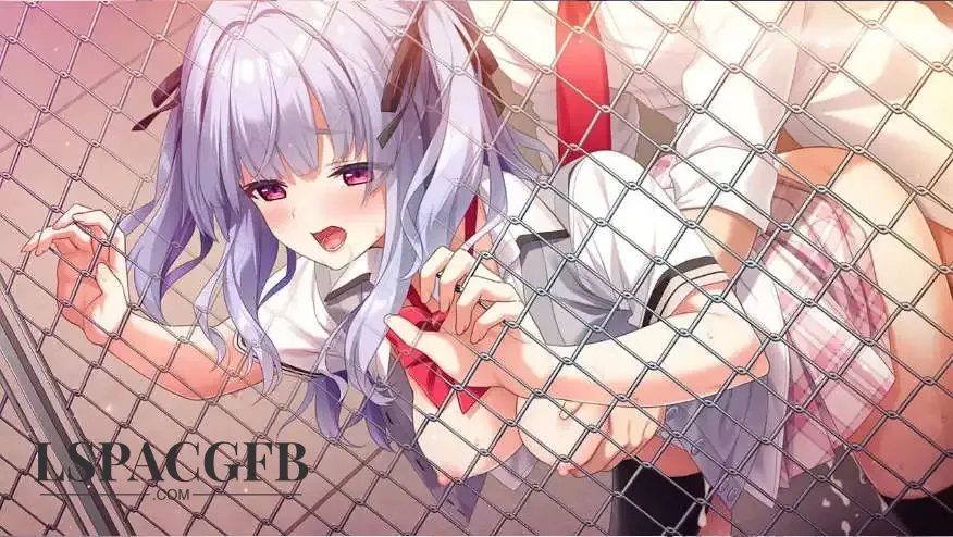 3.webp