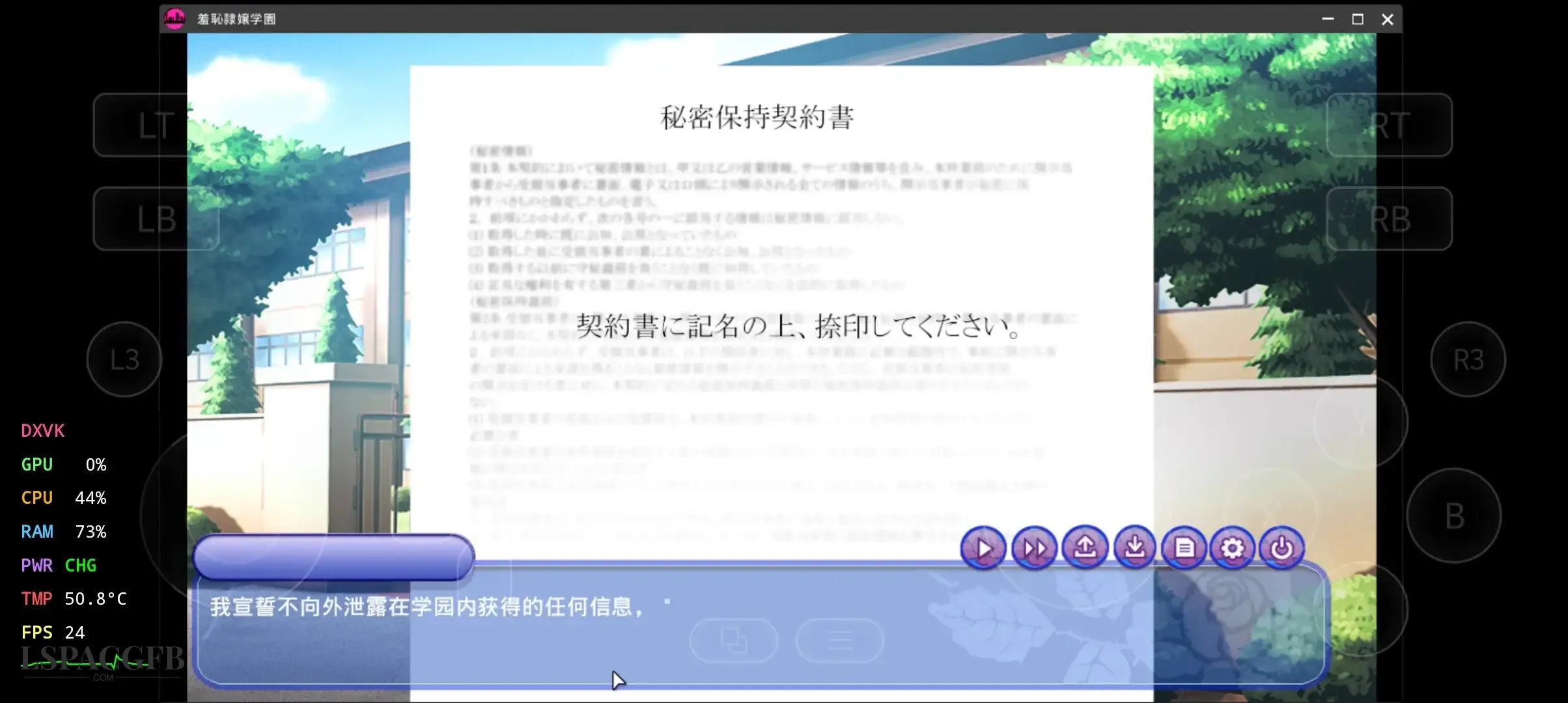 7.webp
