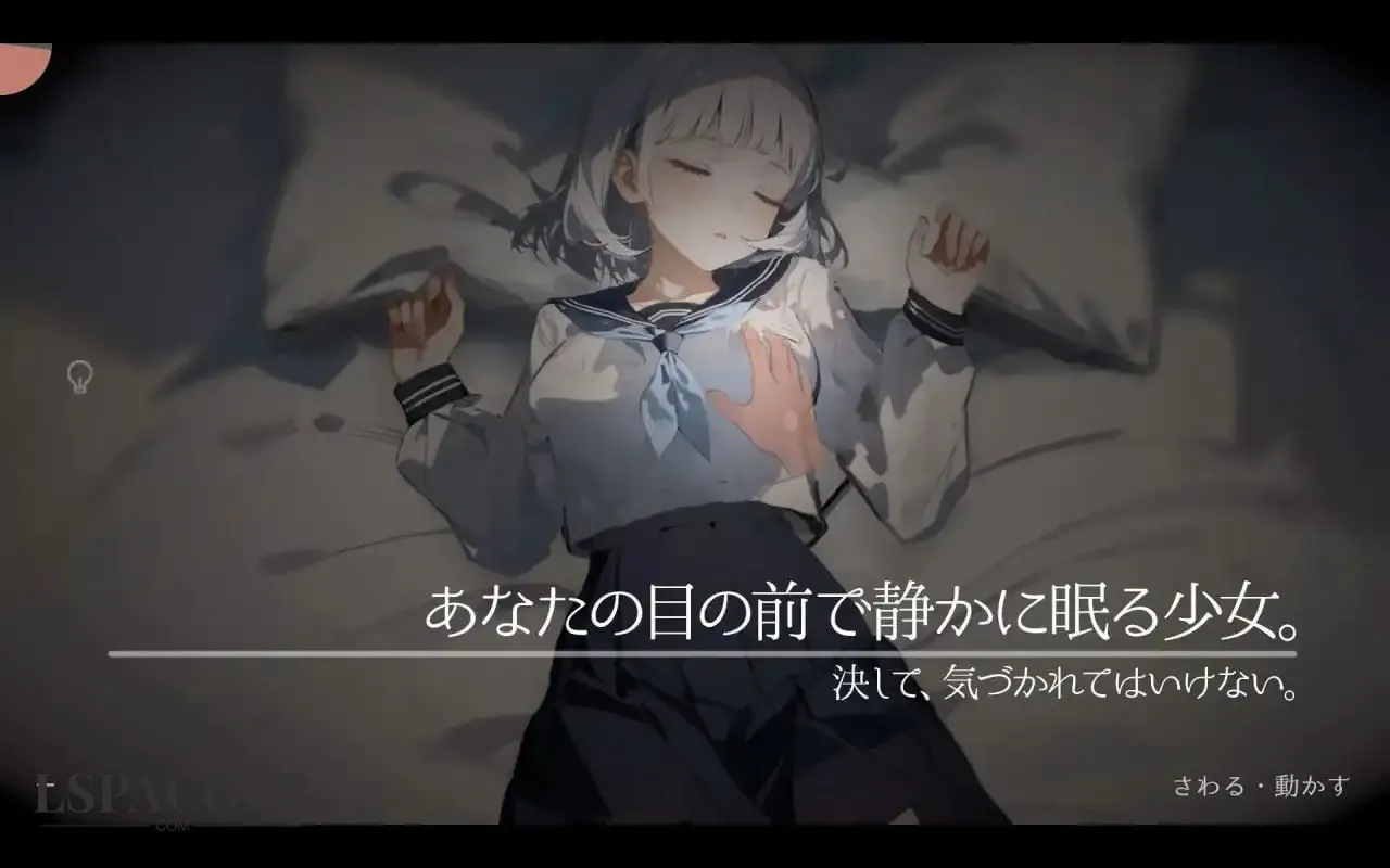 11.webp