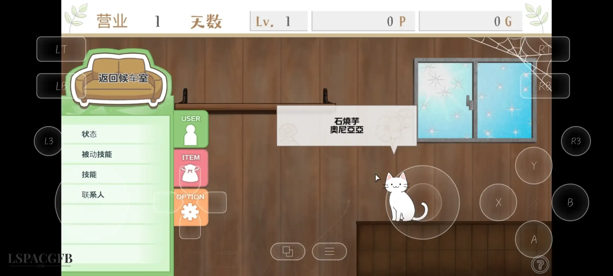 9.webp