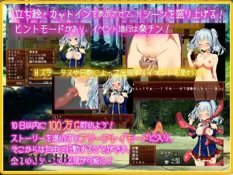 5.webp